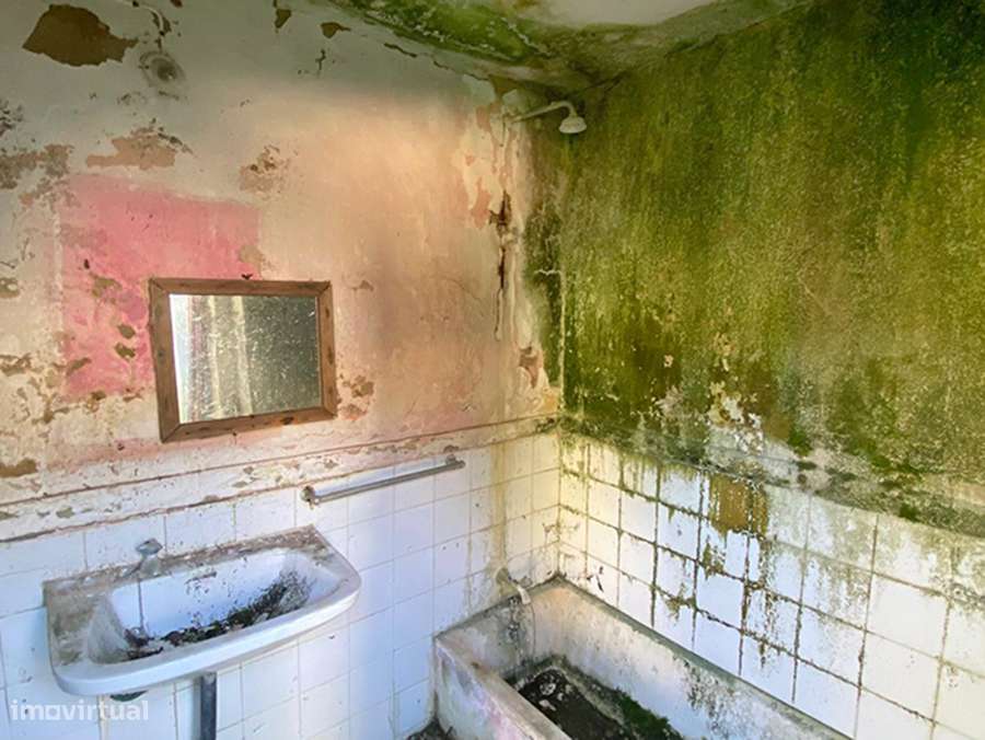 Adega e anexos para recuperar, com logradouro, a 10 min de C da Rainha-15