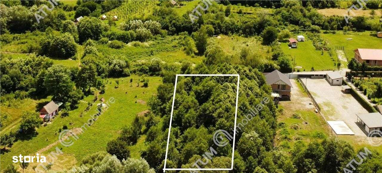 Teren de vanzare pe Valea Avrigului Sibiu - Imagine principală: 4/5