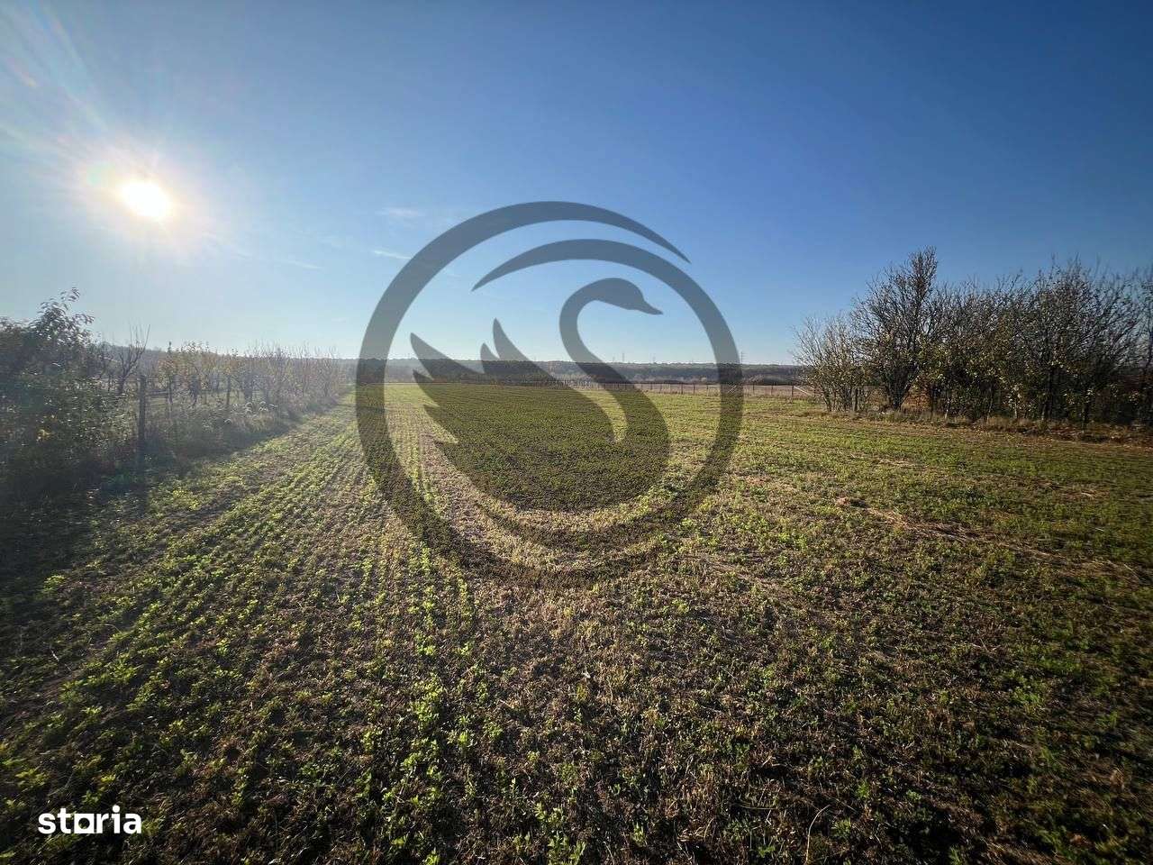 Teren intravilan de vanzare | 12.650 mp | Ghirdoveni, | Comision 0% - Imagine principală: 5/13