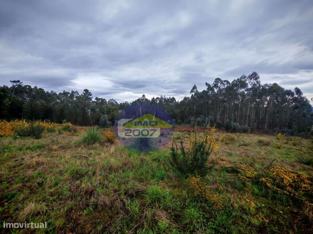 Terreno com viabilidade construção em altura - Grande imagem: 5/22