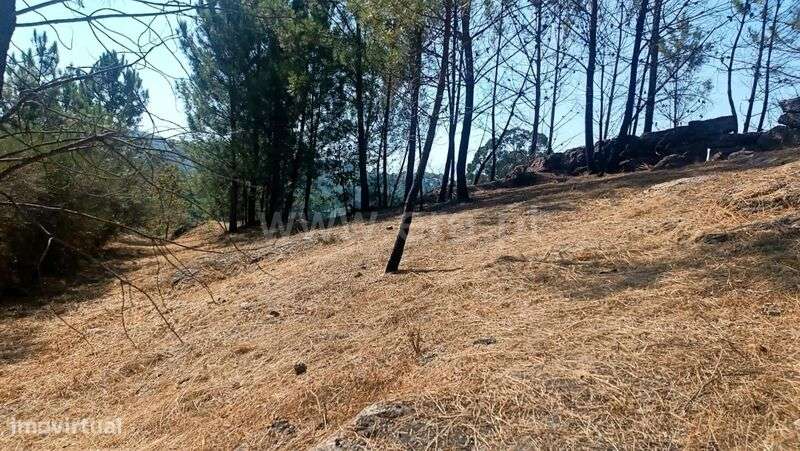 Terreno para Construção / Marco de Canaveses, Marco - Grande imagem: 5/9