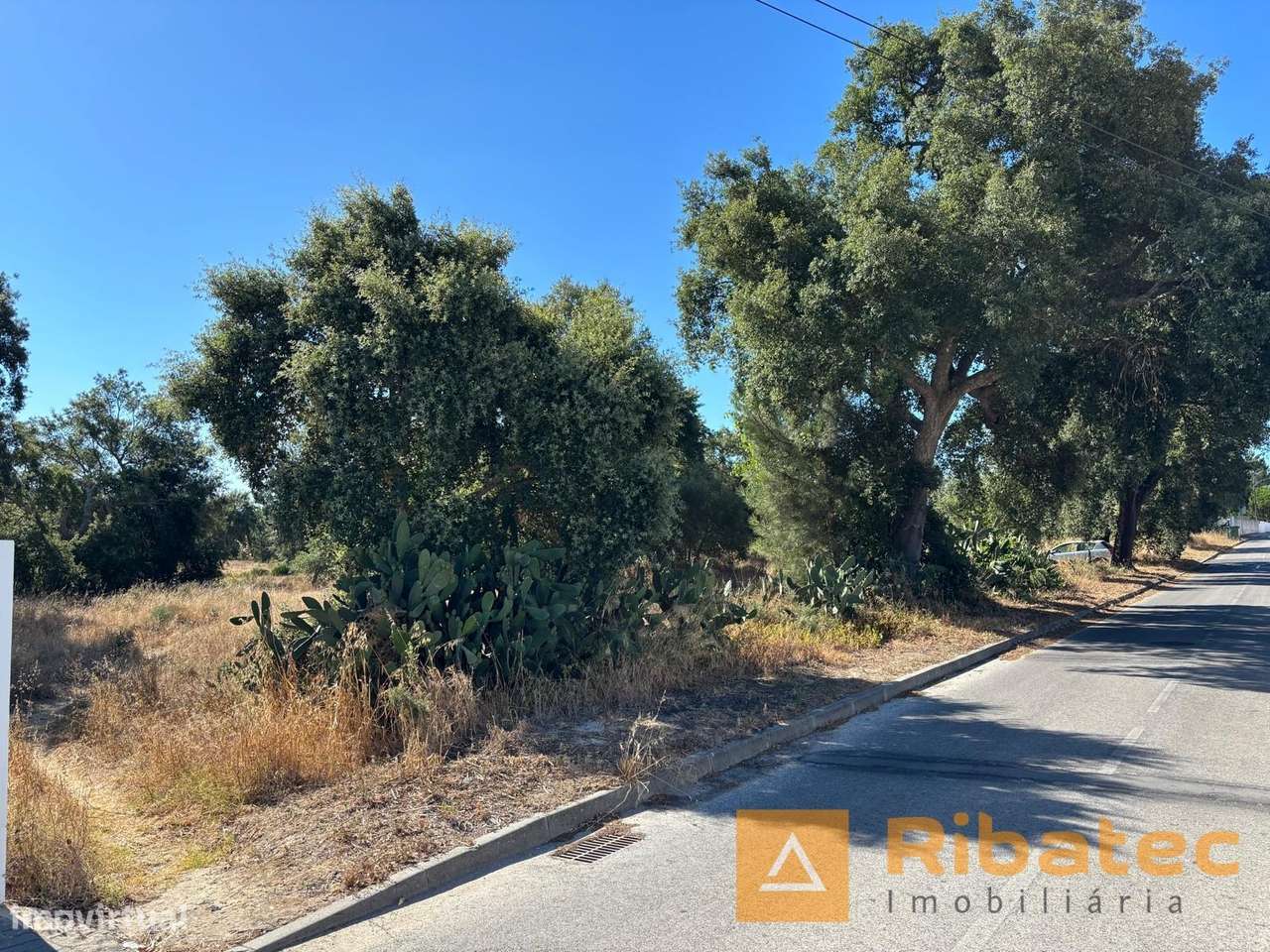 Terreno  Venda em Coruche, Fajarda e Erra,Coruche-8