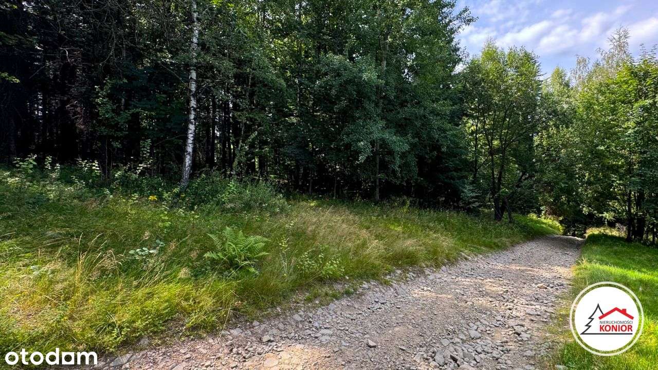 Dom z dala od miasta, w cichej okolicy otoczony lasem - Szczyrk-13