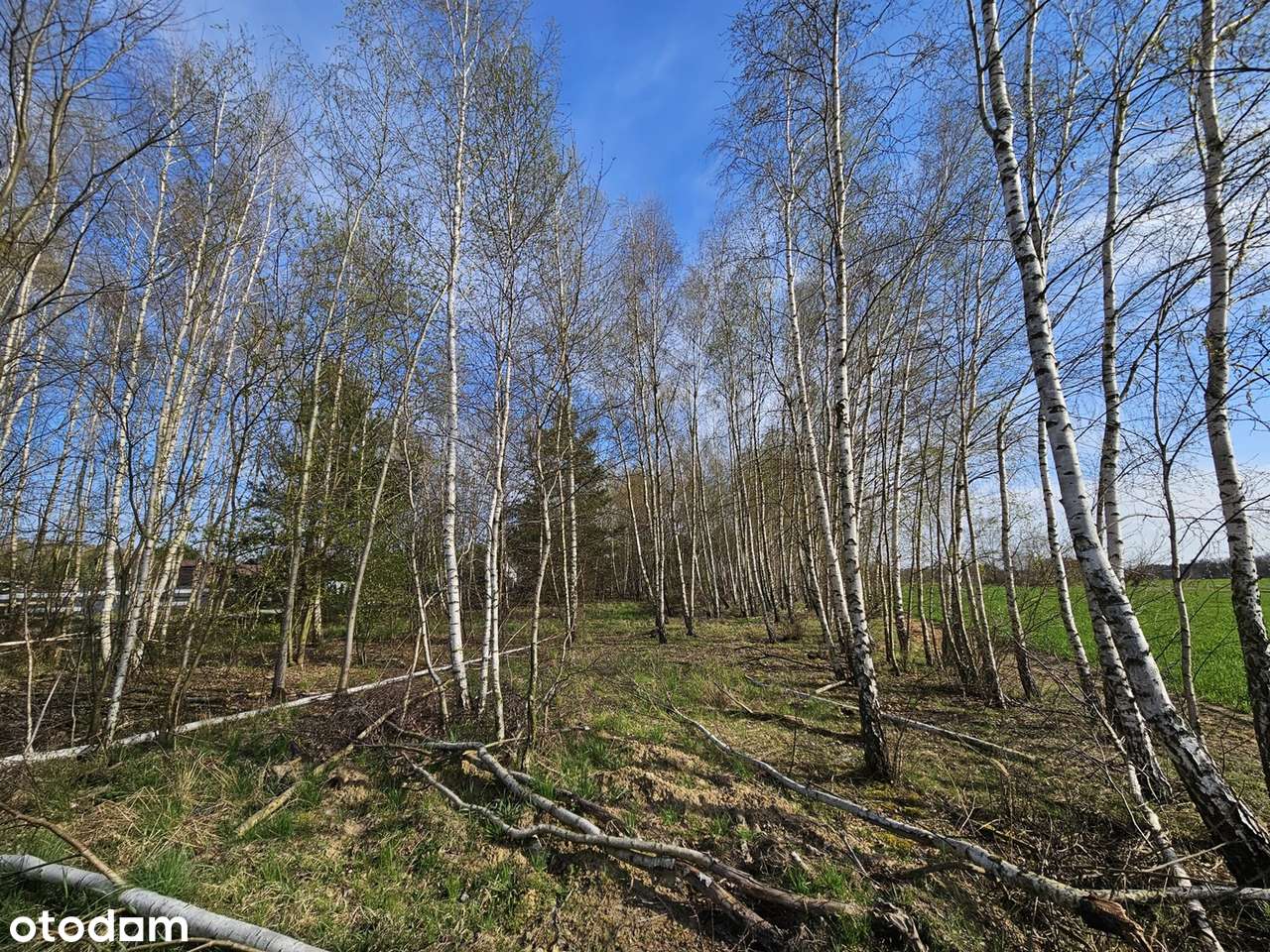 Działka budowlana 1000m2 Wrząca, gm. Lutomiersk - Pełny obrazek: 3/6