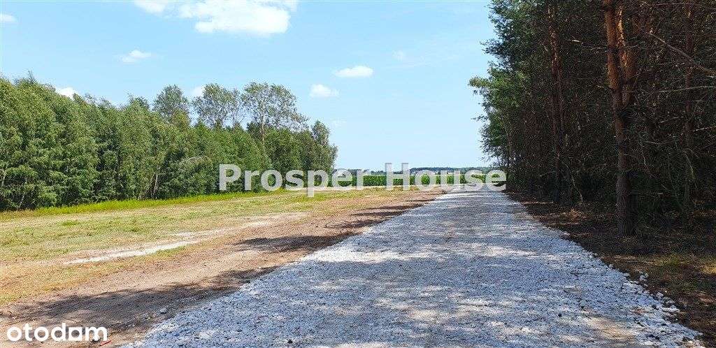 Dla Dewelopera kompleks działek z drogą 7000m2 Pum - Pełny obrazek: 5/5