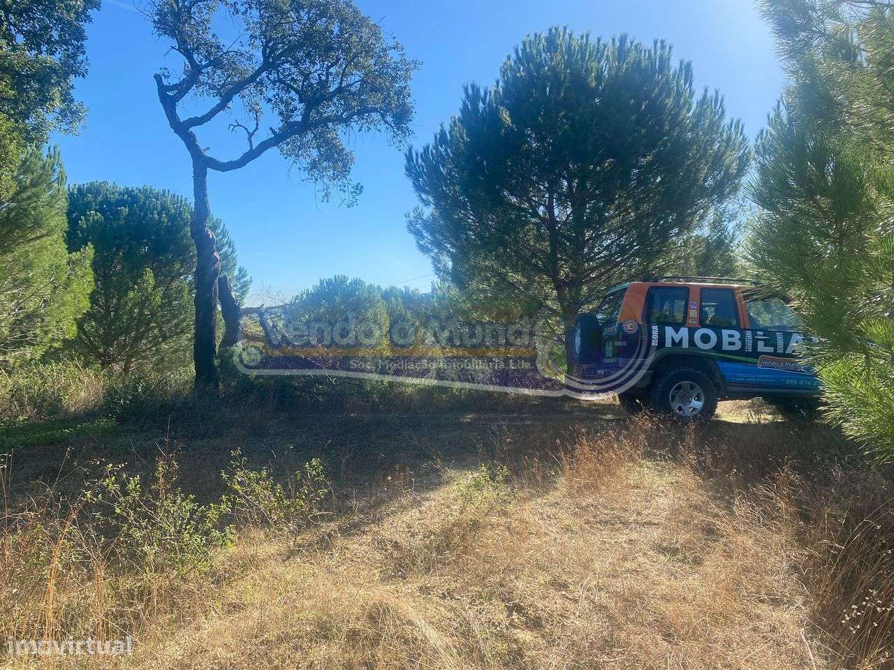 Terreno em Montargil (MTG002)-1