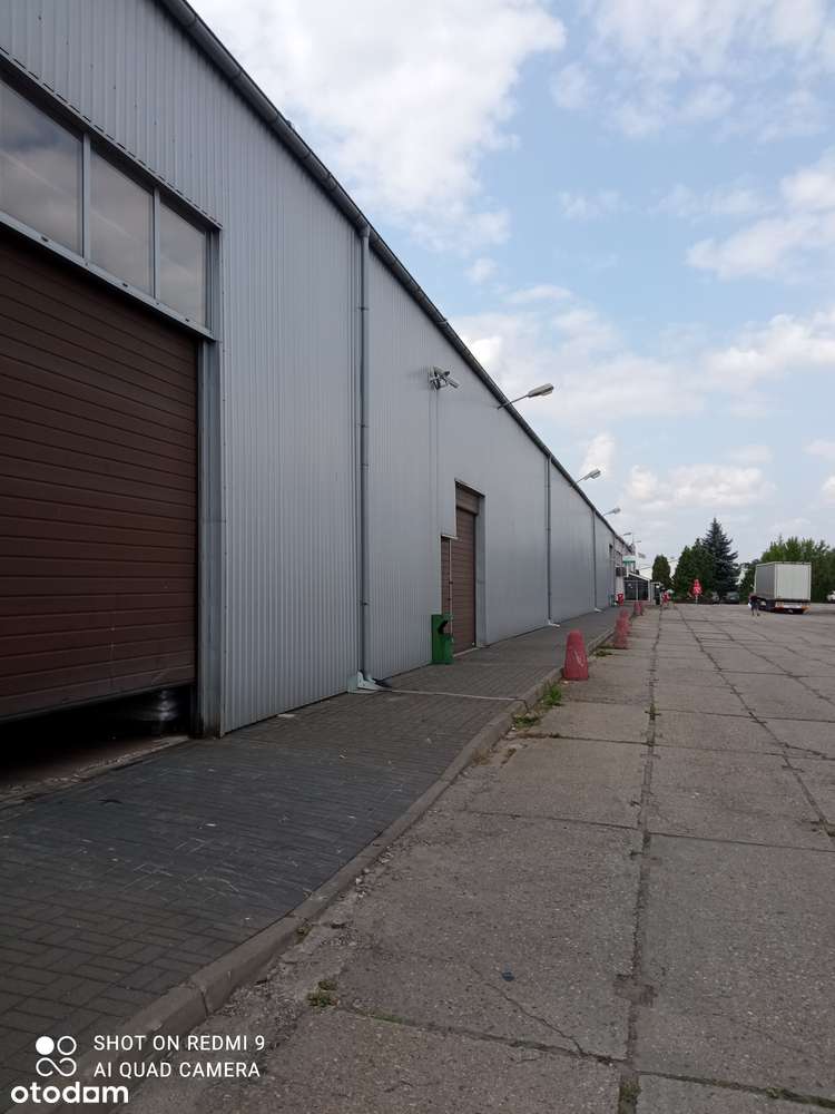 Plac postojowy do wynajęcia – 6800 m² – Poznań, ul. Wichrowa 4 - Pełny obrazek: 4/4