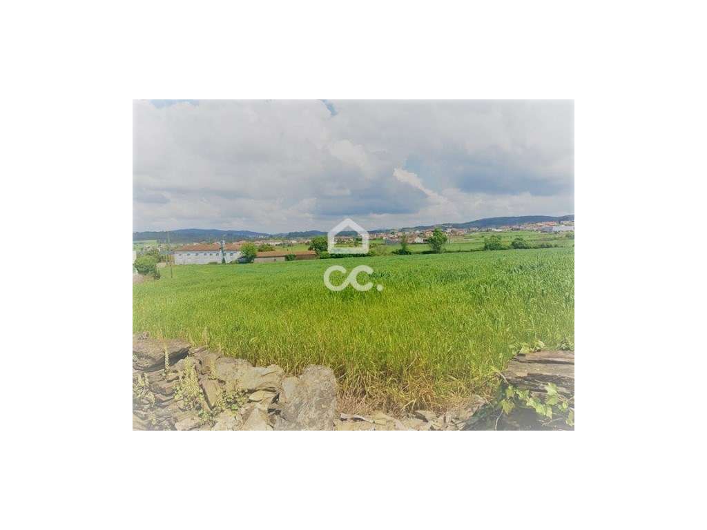 Terreno em Balazar - Grande imagem: 2/11