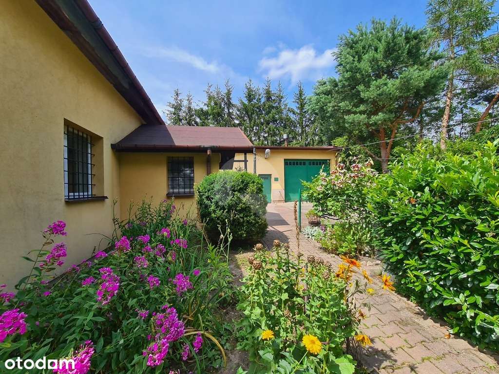 Grzmiąca gmina Żabia Wola dom  na działce  13800m2-5