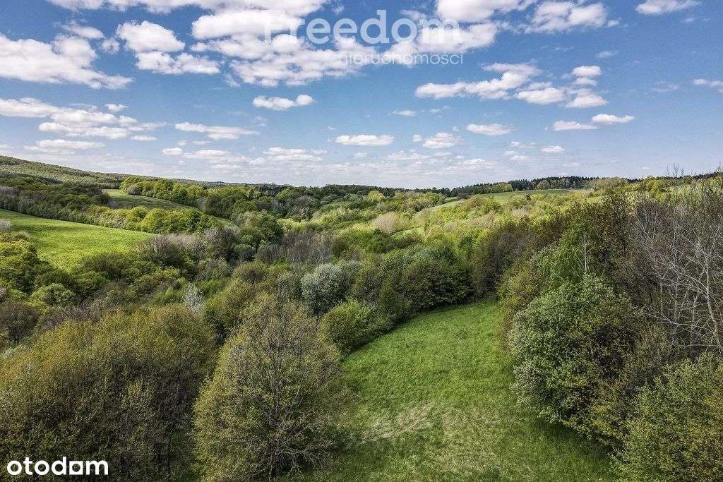 Działka z widokiem 92 ar – Końskie, gm. Dydnia - Pełny obrazek: 3/16