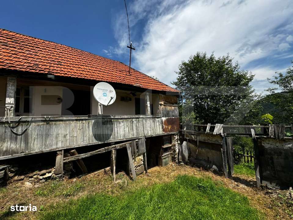 Casa la munte cu teren generos de 9340mp in zona Capalna - Valea Sebes - Imagine principală: 5/12