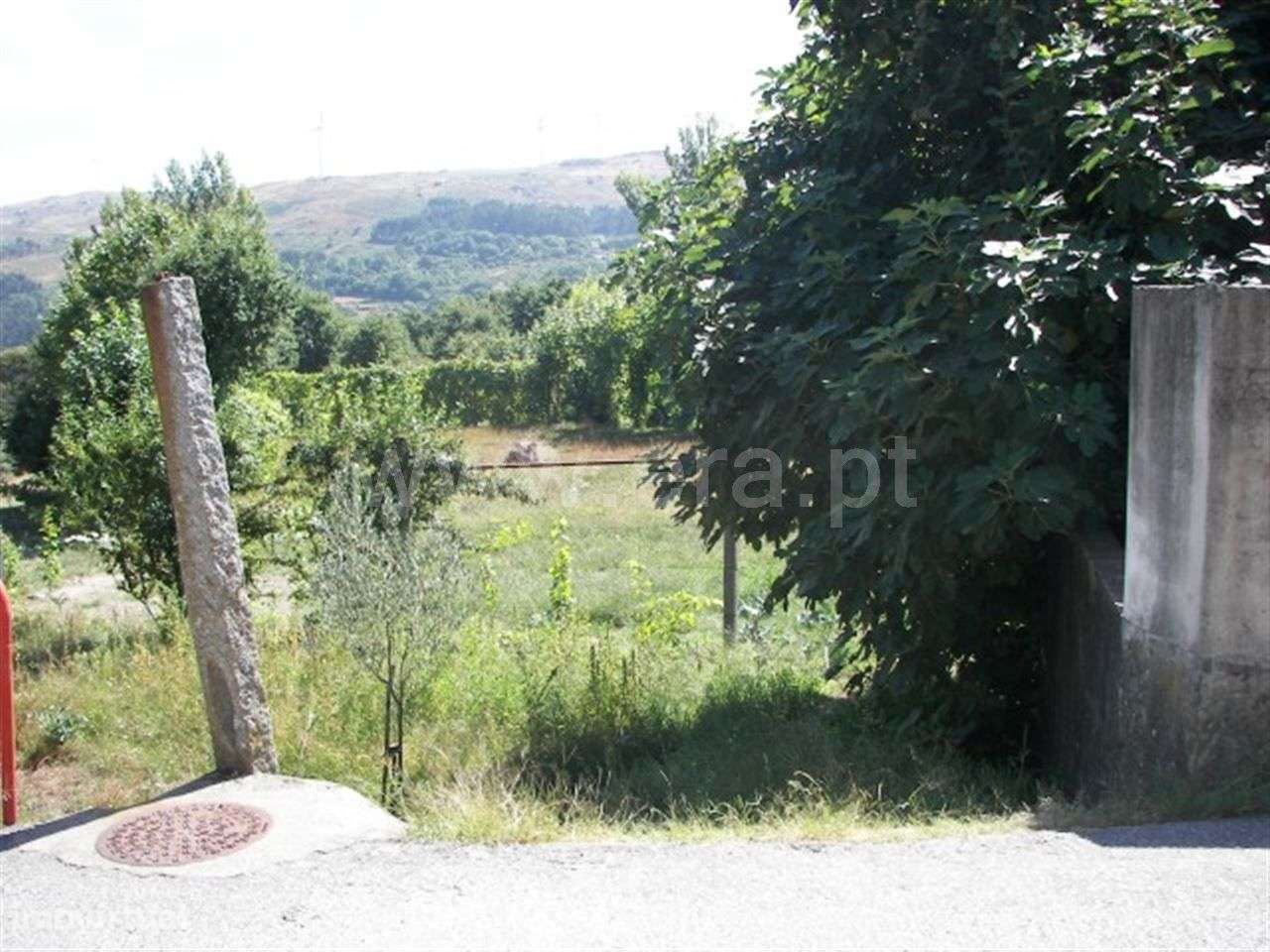 Terreno - Grande imagem: 5/5