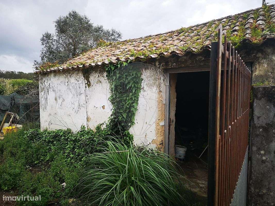 Arrecadação T0 para venda - Grande imagem: 3/11