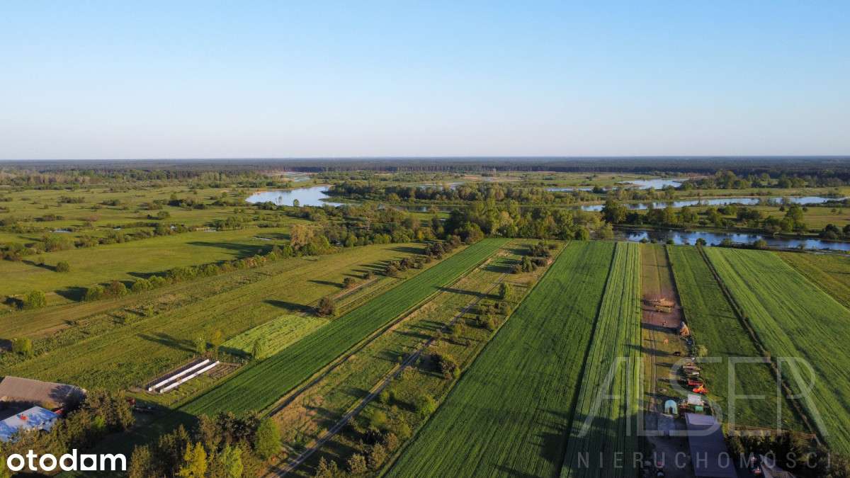 Działki budowlane w Brańszczyku | Blisko rzeki Bug - Pełny obrazek: 5/20