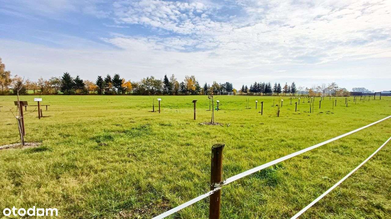 Działka 1246 m2, na sprzedaż - Nieżywięć.-11