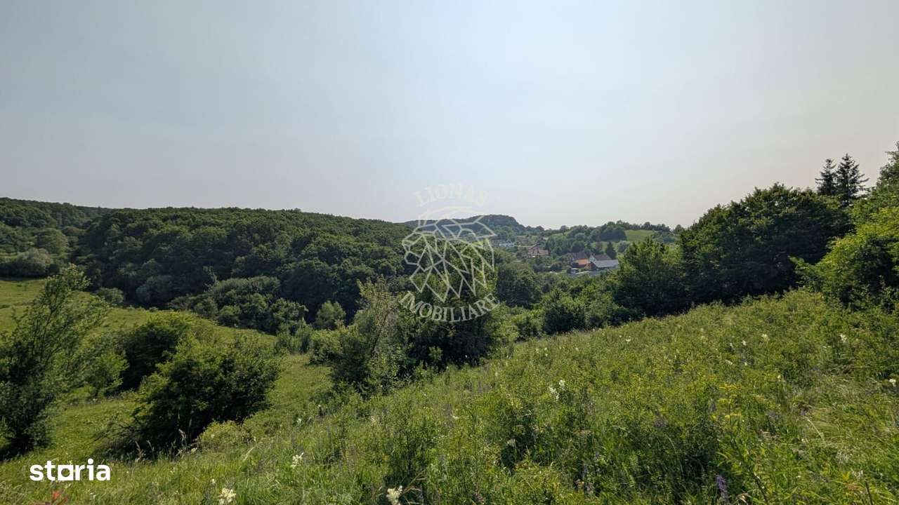 Teren extravilan 1930 mp,  5 min de centru, ideal Cabana, invetitie - Imagine principală: 2/4