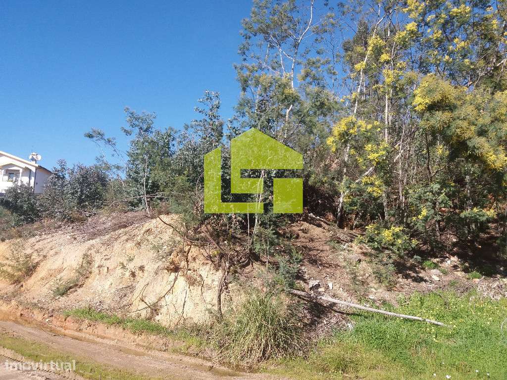 TERRENO - Grande imagem: 2/3