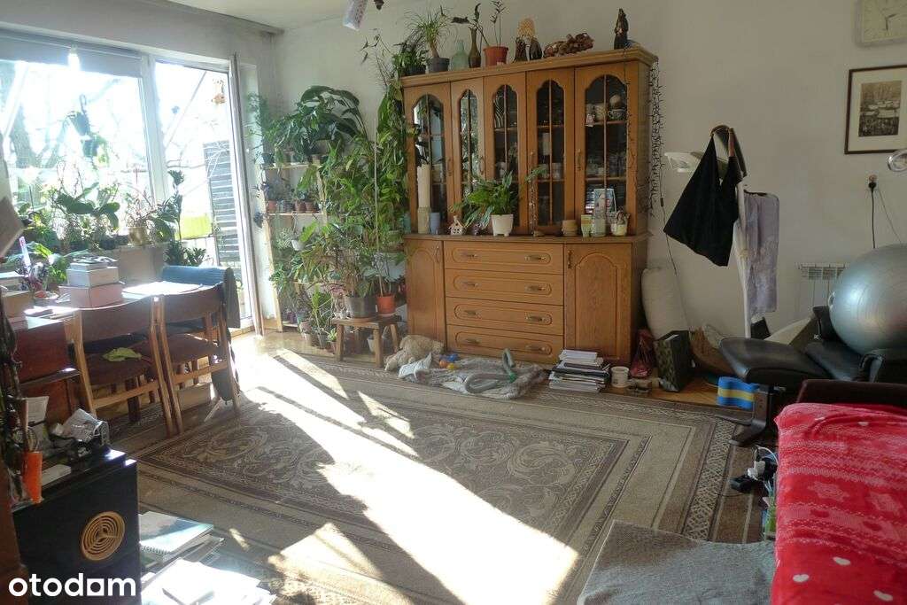 dom w mieście z ogrodem lub działka inwestycyjna!-7