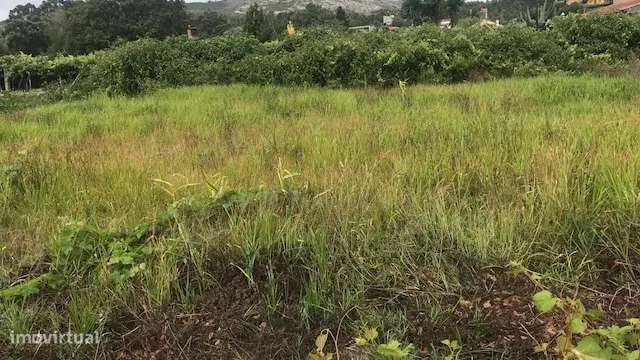 TERRENO EM RIBA DE ÃNCORA COM 1870 M2 - Grande imagem: 5/11
