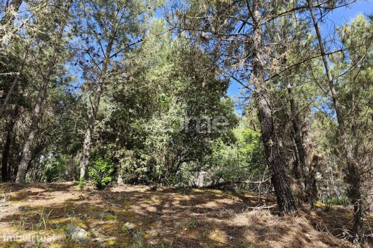 Terreno, 39 100 m², Favaios-5