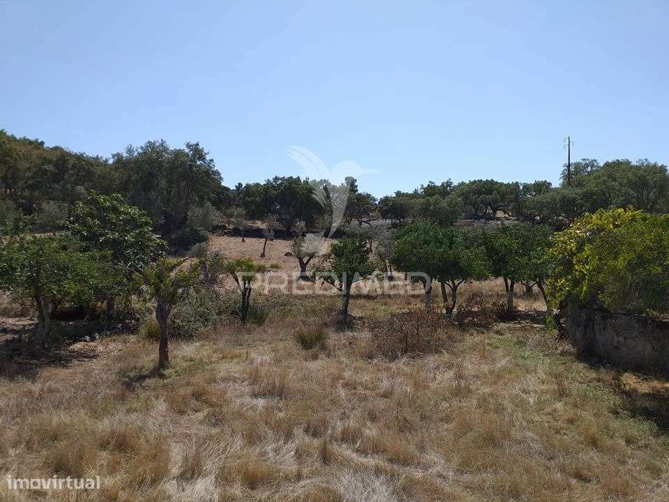 Saiba mais sobre este fantástico imóvel. - Grande imagem: 5/9