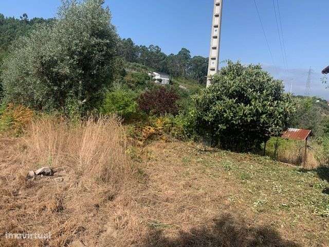 Quinta do Barreiro com 2 Casas para Recuperar-12