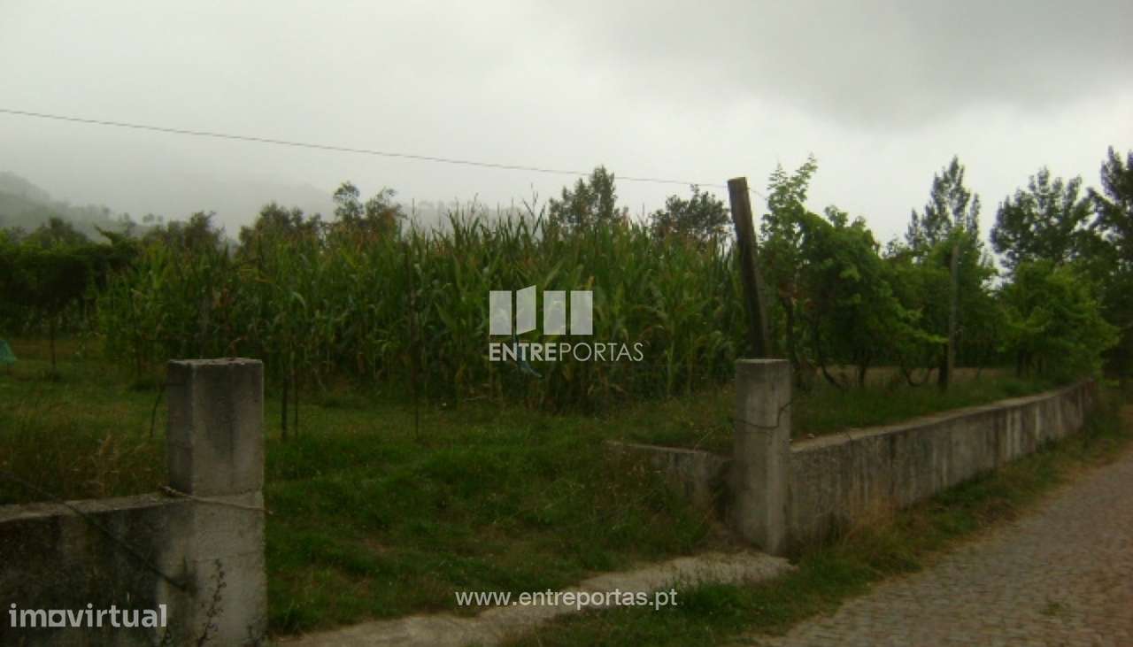 Venda Terreno, Cinfães - Grande imagem: 2/30