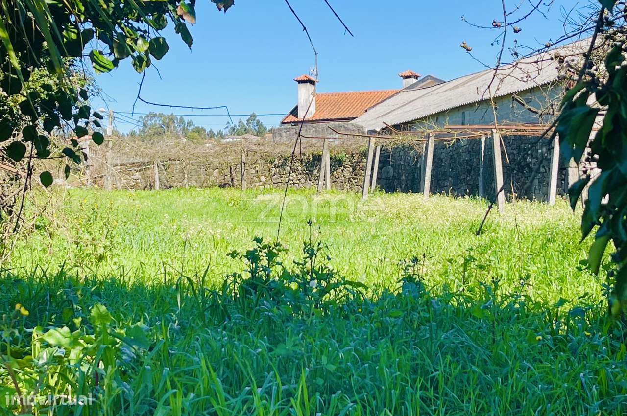 Terreno Agrícola Gondifelos - Grande imagem: 2/11
