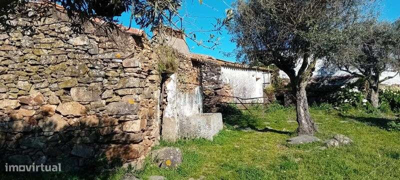 Monte alentejano 7500m2 - Grande imagem: 4/5