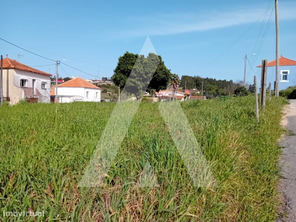 Terreno Rústico na zona de Oliveira do Bairro