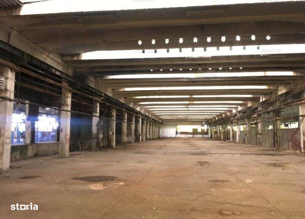 SPATIU INDUSTRIAL CODLEA -DEPOZITARE SAU LOGISTICA - Imagine principală: 4/7