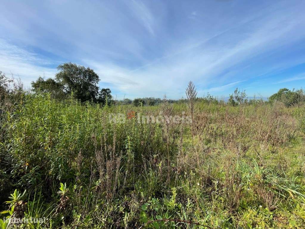 2 Terrenos Mistos - São Pedro de Tomar - Grande imagem: 5/5