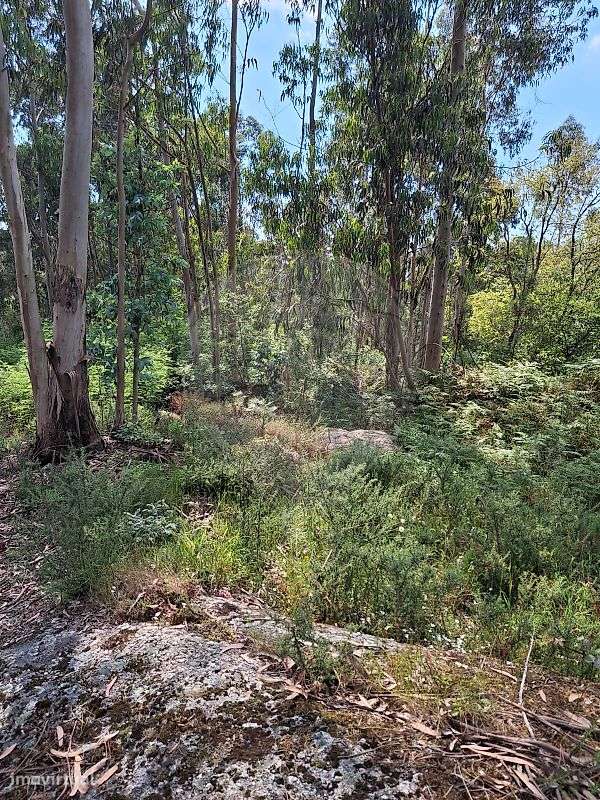 Terreno  para venda - Grande imagem: 2/4