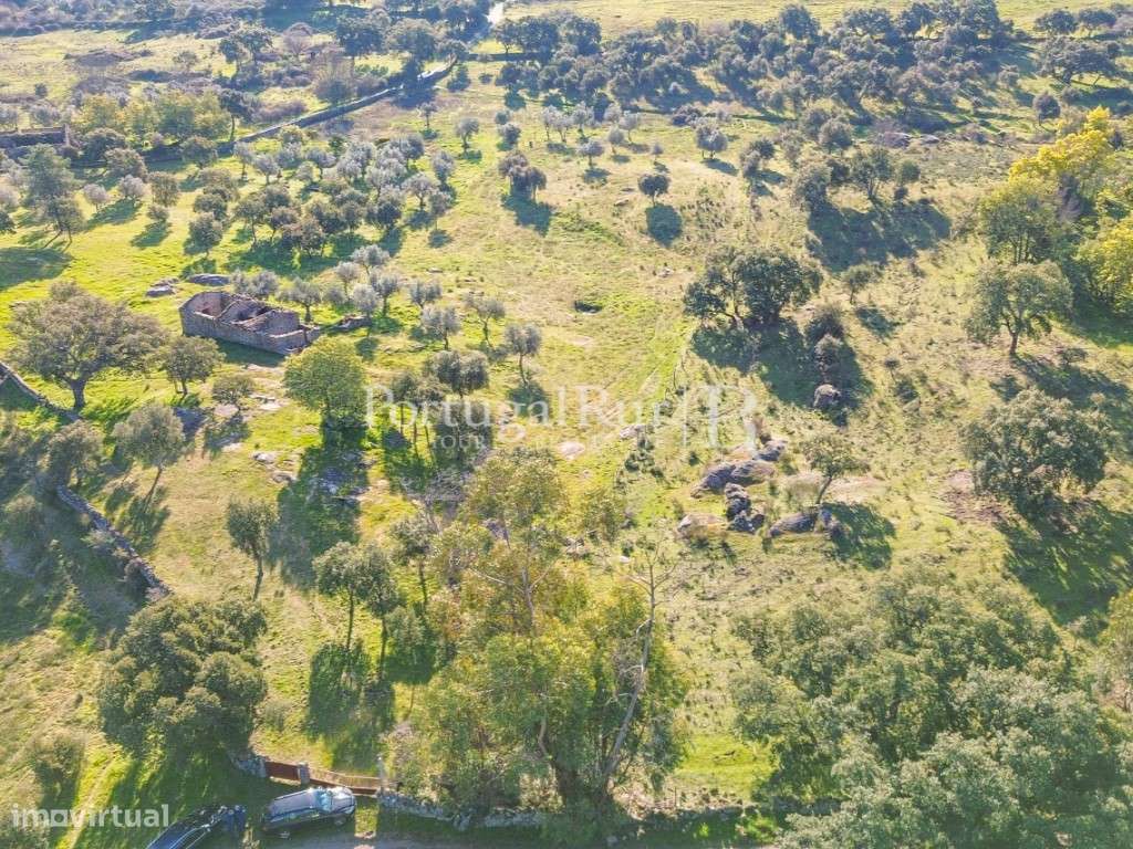 Quintinha com 1,2ha e ruína urbana em São Miguel Acha-21