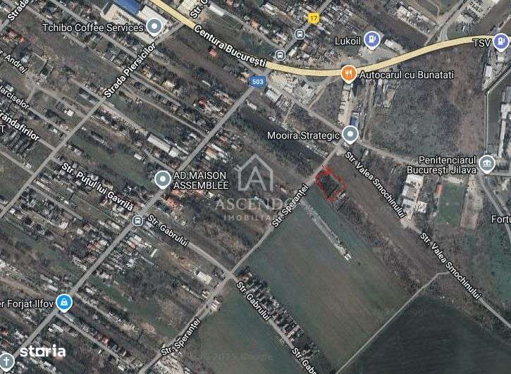 Teren Intravilan 3.000 mp Jilava  Investiție sau Rezidențial - Imagine principală: 1/4