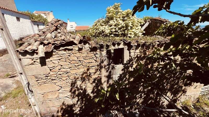 Moradia em Felgar Moncorvo - Grande imagem: 4/6