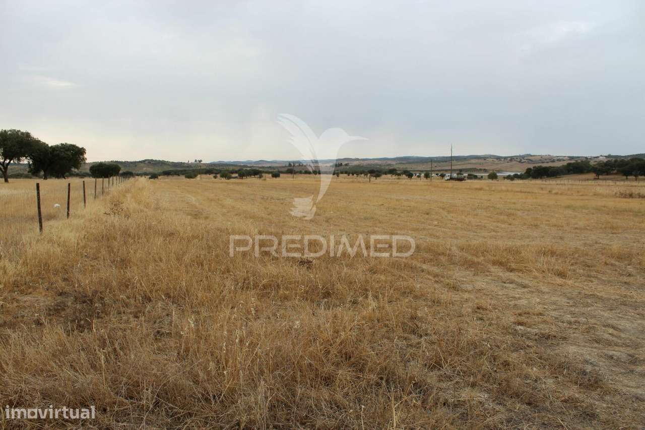 Terreno Rústico - Grande imagem: 4/15