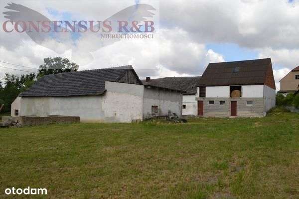 Dom, 140 m², Grabina-6