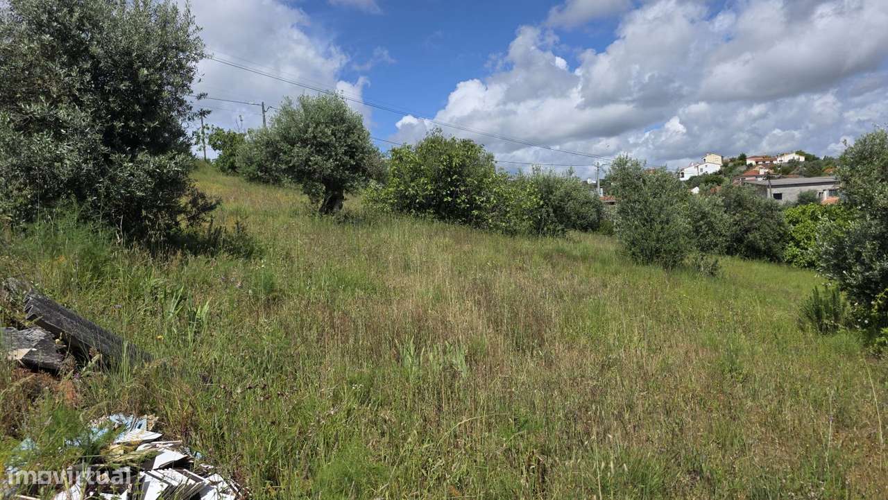 Excelente Terreno para Moradia a 5 kms de Tomar-6