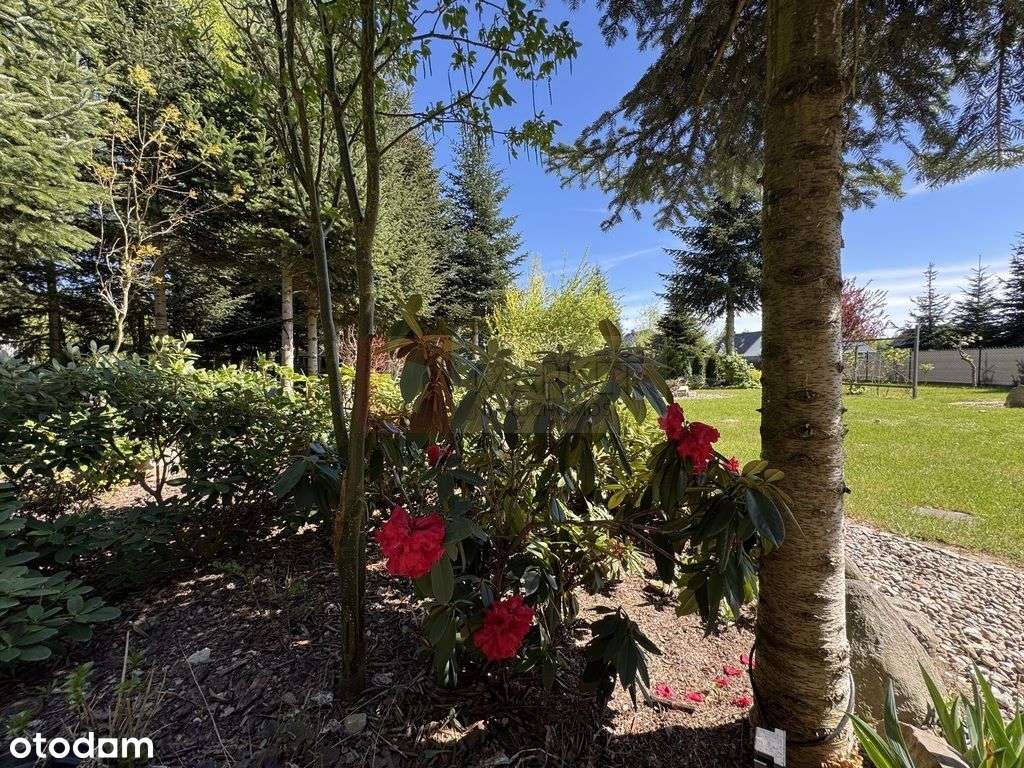 Jednorodzinny dom w Białuniu na sprzedaż 105,39 m2 - Pełny obrazek: 4/20