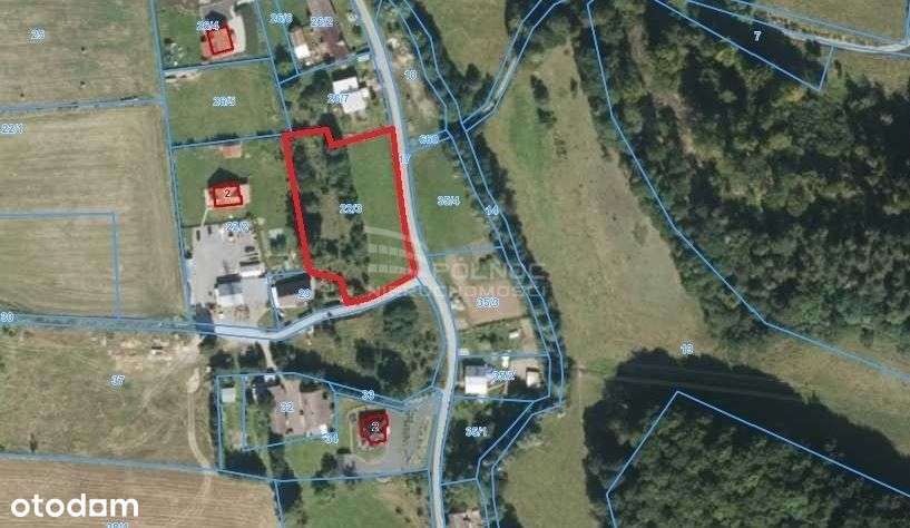 Malownicza działka budowlana Wojbórz, Kłodzko - Pełny obrazek: 4/4