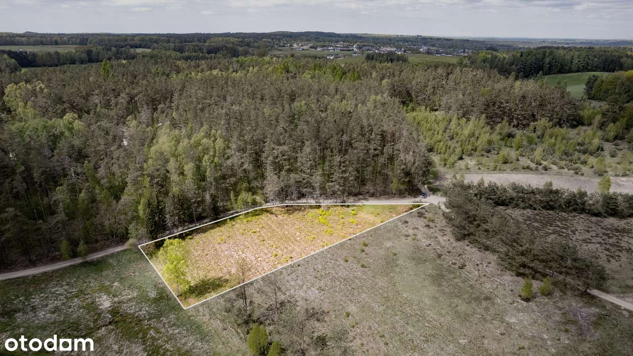 Malownicza działka z Warunkami zabudowy – Bieszkowice, ul .Polna - Pełny obrazek: 4/7