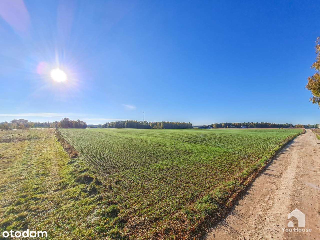 Działka budowlana blisko Jeziora - Rybno-7