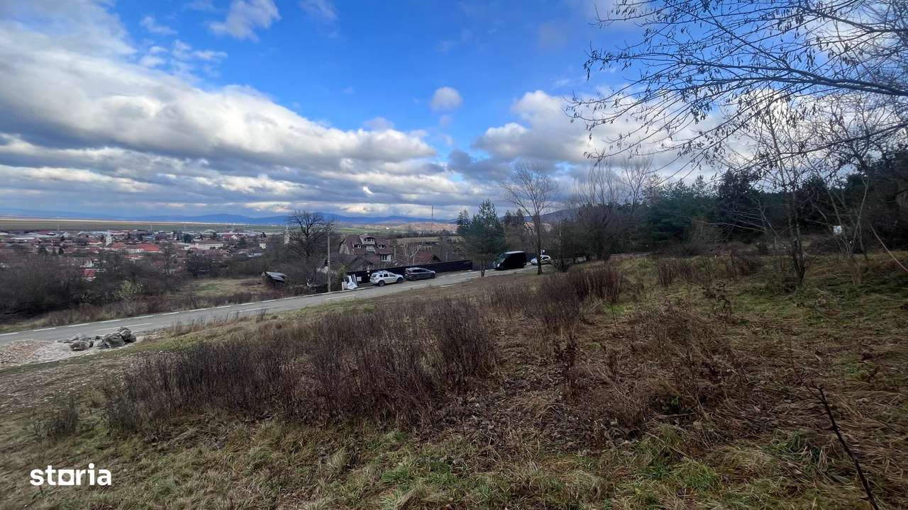 Teren Intravilan 495 mp – Zonă Liniștită -  Strada Livezii-0