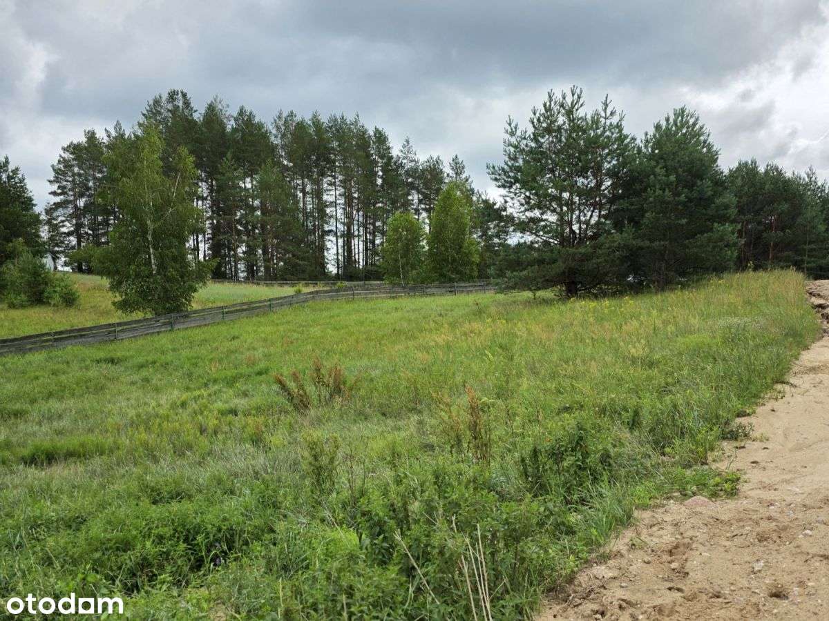 Rzeka Szlamica, Linia Brzegowa, Działka Budowlana - Pełny obrazek: 5/15