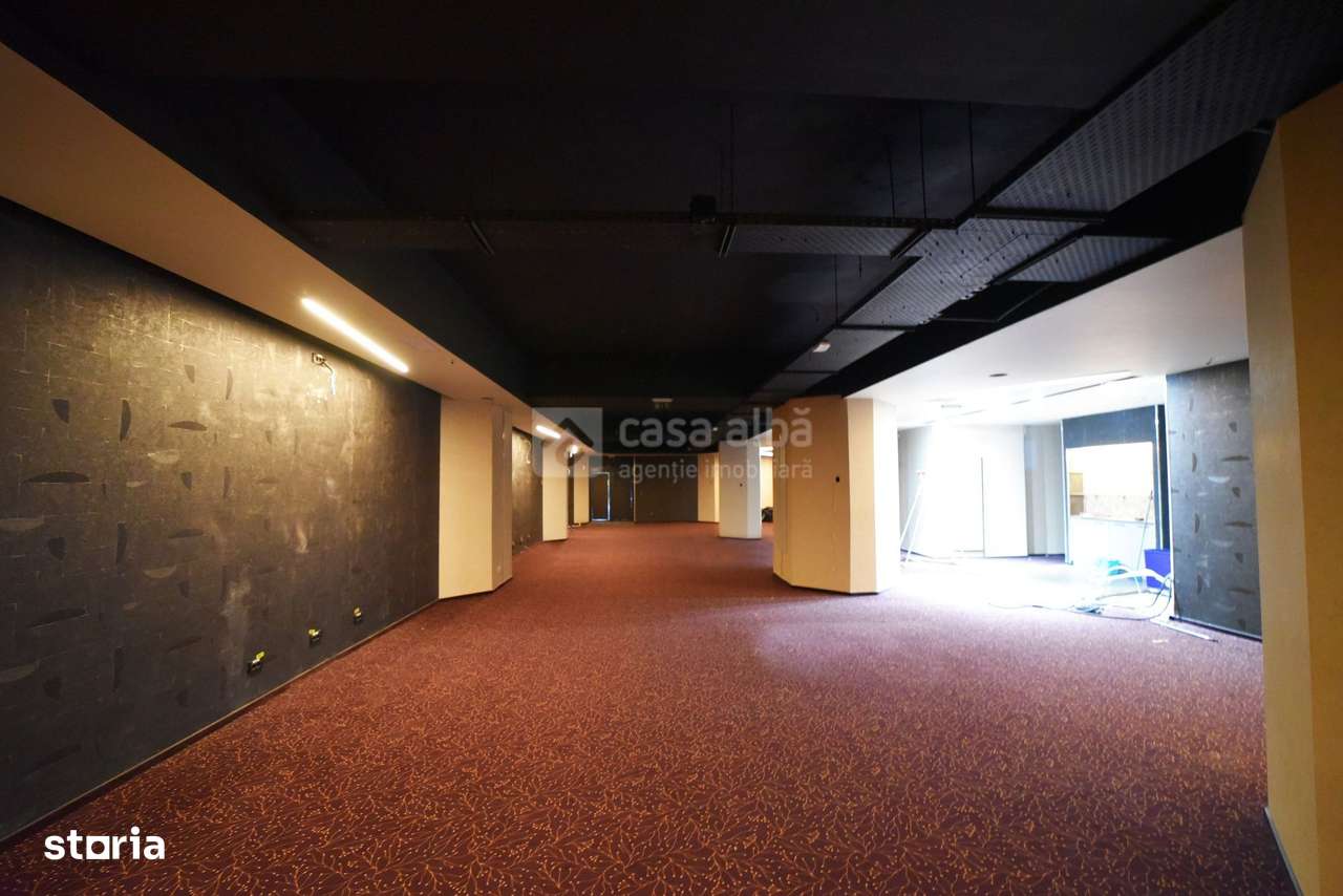 Alexandru cel Bun, spatiu excelent pozitionat, S+P, 800mp construiti - Imagine principală: 2/16