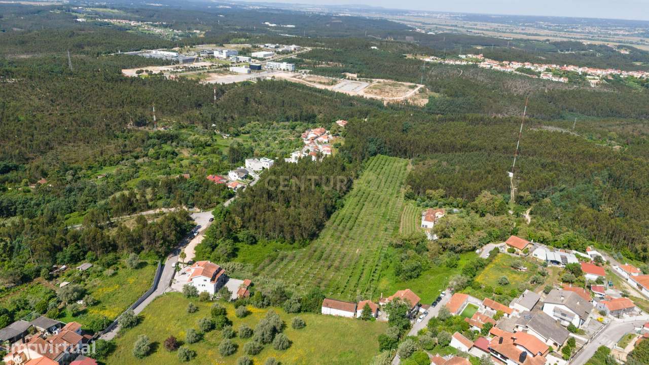 Quinta com 8 hectares com potencial para construção – Antanhol - Coimb-12