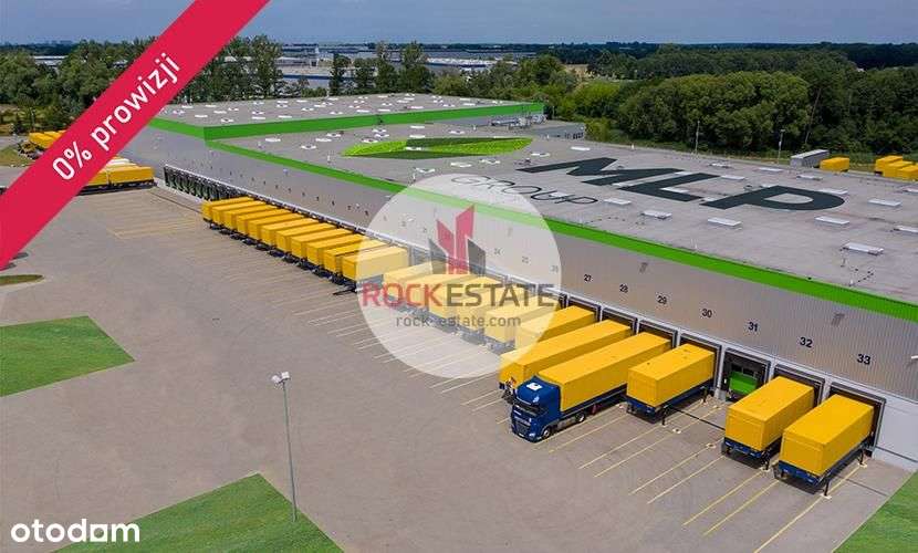 Magazyn na wynajem 1565 m2 Koninko - 0% prowizji - Pełny obrazek: 4/9