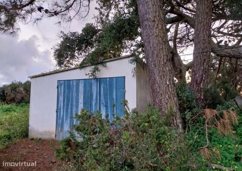 Terreno Rústico com Excelente Localização | Azueira – Mafra - Grande imagem: 3/8