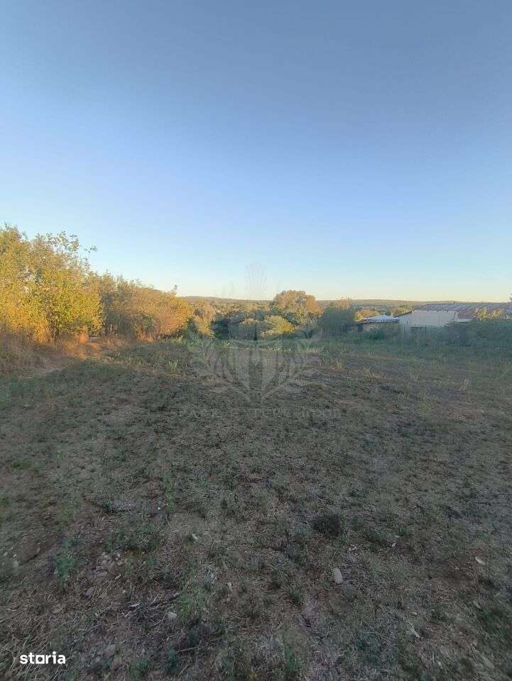 TEREN INTRAVILAN  PLOPU//3000 MP - Imagine principală: 1/9